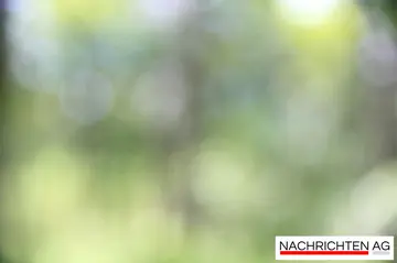 Flakgranate im Saalekreis: Geplante Sprengung sorgt für Aufregung!