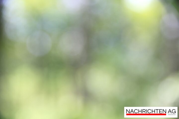 EKD-Synode in Dresden: Kirche diskutiert Macht und Missbrauch!