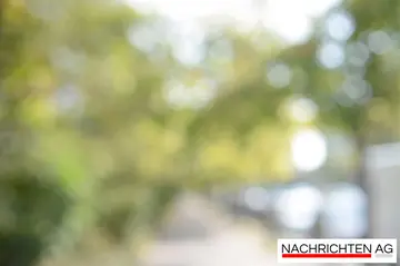 Spannendes Derby: Wildcats wollen ersten Sieg in Zwickau feiern!