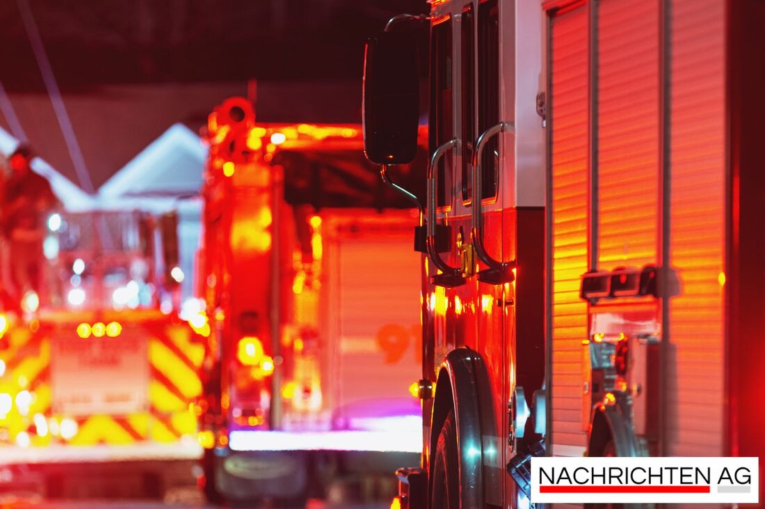 Die Feuerwehr Ennepetal rettete am 28. Mai 2025 einen verirrten Fuchs aus einem Hinterhof und sorgte für seine Versorgung.