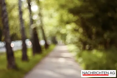 Die Spreewaldklinik: Magische Drehorte und spannende Einblicke!