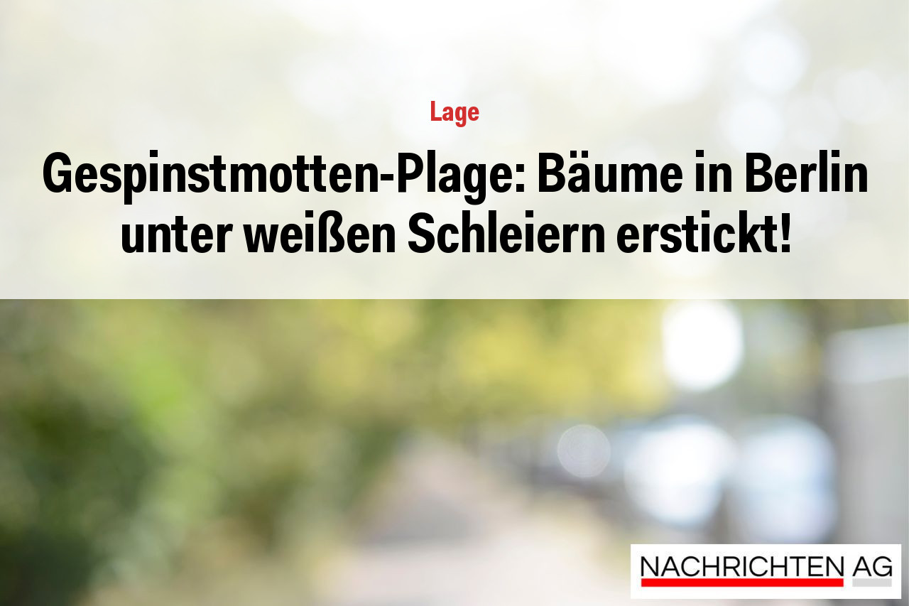 Gespinstmotten-Plage: Bäume in Berlin unter weißen Schleiern erstickt!