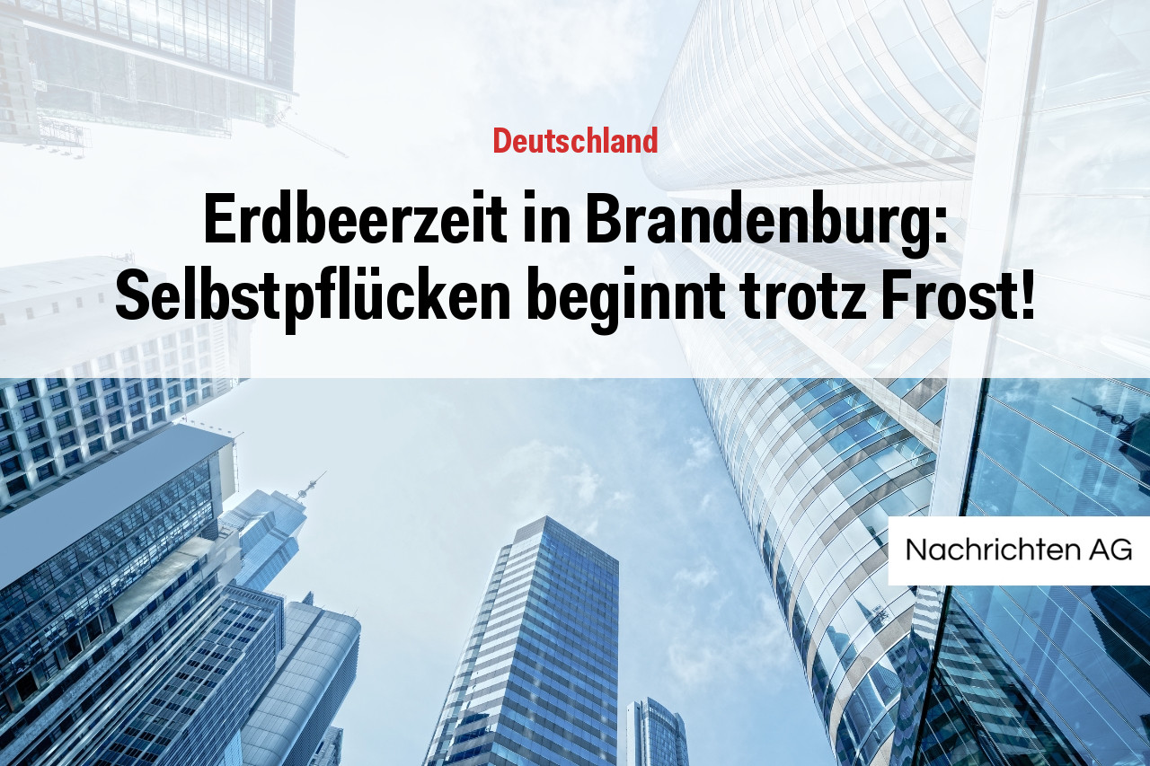 Erdbeerzeit in Brandenburg: Selbstpflücken beginnt trotz Frost!
