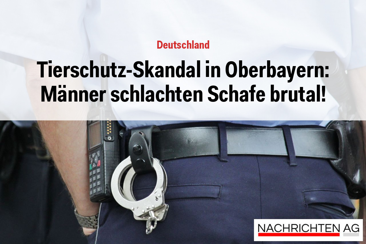 Tierschutz-Skandal in Oberbayern: Männer schlachten Schafe brutal!