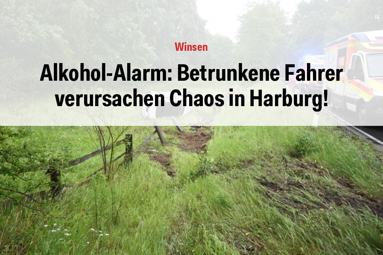 Alkohol-Alarm: Betrunkene Fahrer verursachen Chaos in Harburg!
