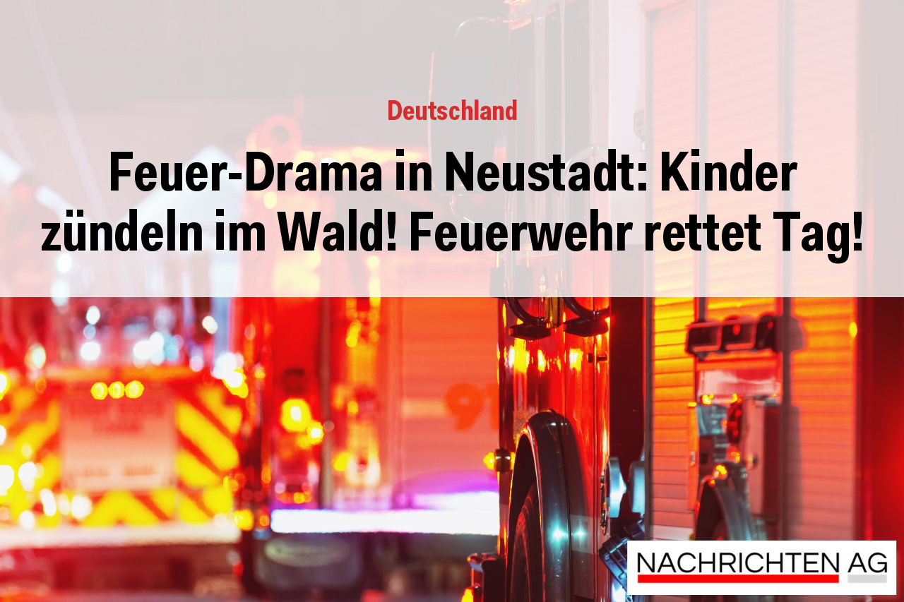 Feuer-Drama in Neustadt: Kinder zündeln im Wald! Feuerwehr rettet Tag!