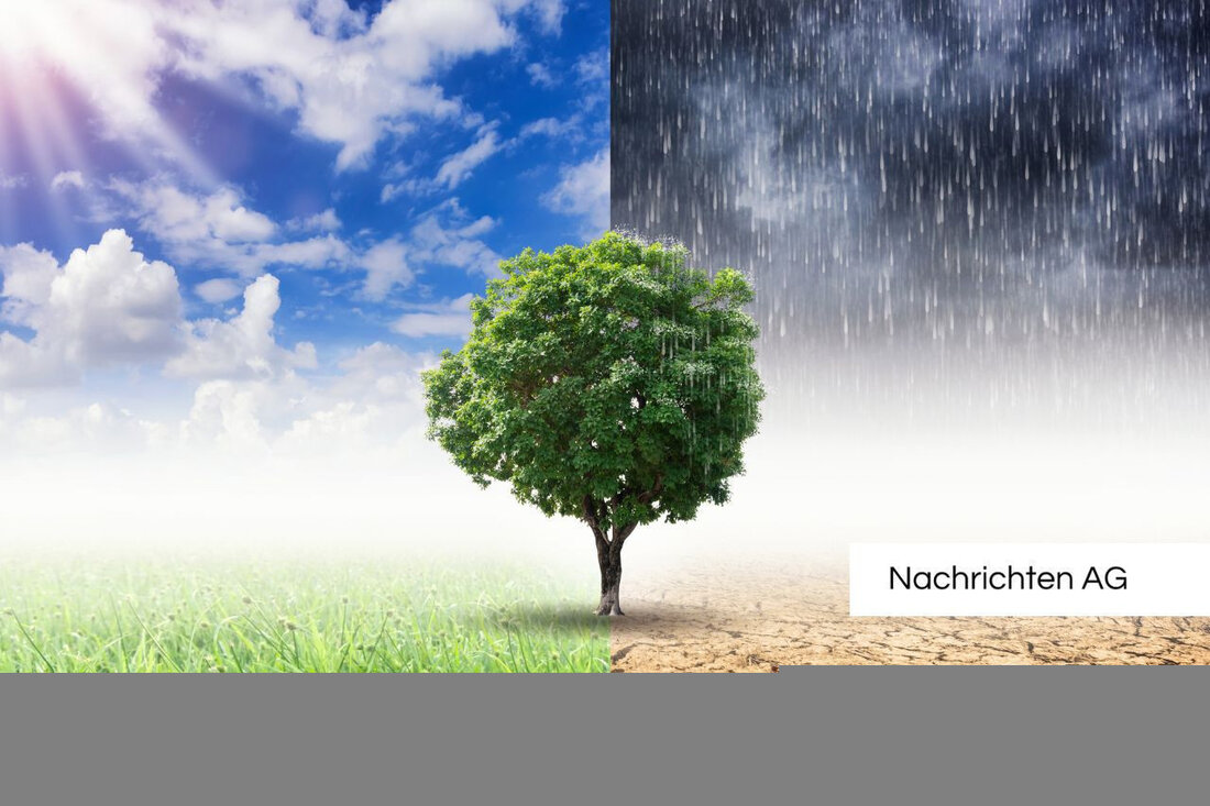 Die Samtgemeinde Lemförde entwickelt ein Klimaschutzkonzept mit Fokus auf Biodiversität und nachhaltiger Bauplanung bis August 2025.