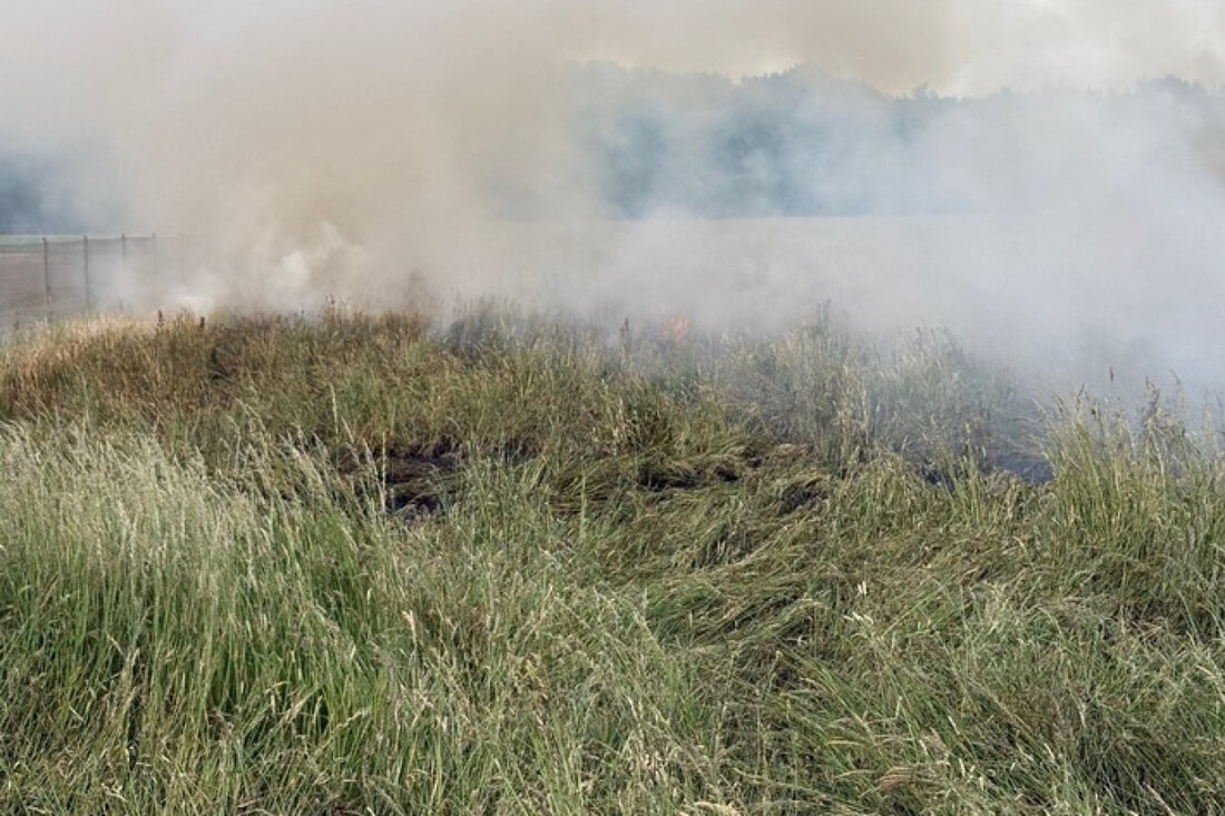 Unbekannte zündeten Silvesterraketen in Limburgerhof, verursachten Brand auf Feld. Polizei ermittelt, Hinweise erbeten.