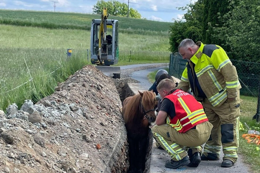 Feuerwehr Dresden rettet Islandpferd aus Graben und befreit verletzte Fahrerin nach Verkehrsunfall. Einsatz am 24. Mai 2025.