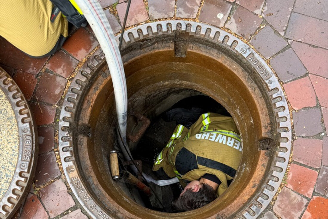 Die Feuerwehr Osterholz-Scharmbeck rettete sonntags drei Entenküken aus einem Gully, nachdem Passanten Alarm geschlagen hatten.