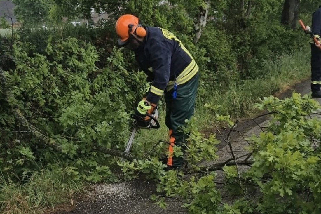 Sturm bedingt drohte ein großer Ast im Moorackerweg in Aurich auf die Fahrbahn zu stürzen. Die Feuerwehr beseitigte die Gefahr schnell.