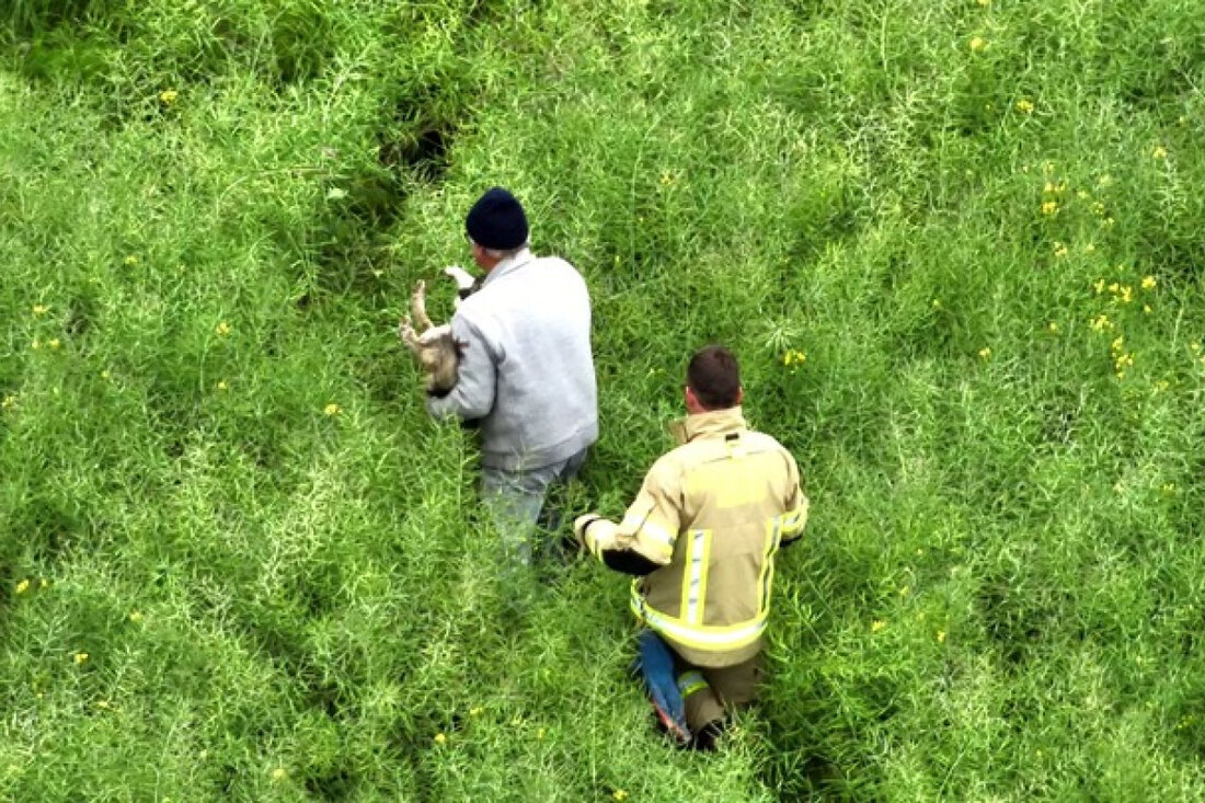 Feuerwehr Kleve rettet geschwächten Hund mit Drohne in Rapsfeld. Tierbefreiung in Brienen am 27. Mai 2025 erfolgreich abgeschlossen.