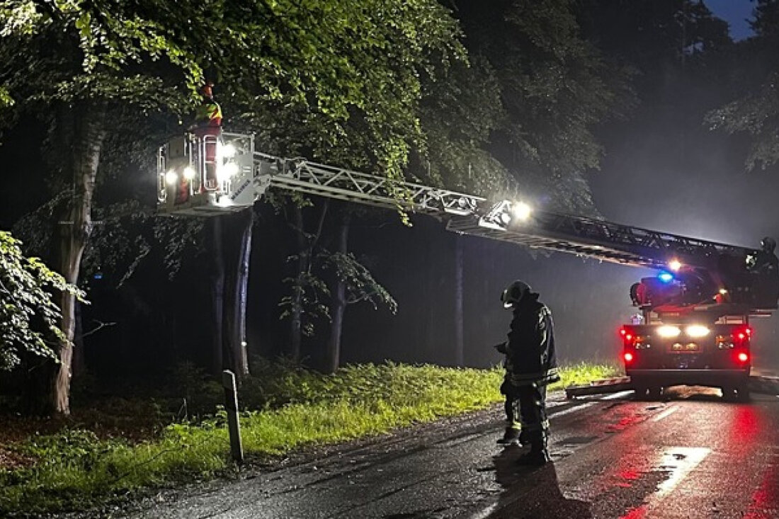 Einsatz der Feuerwehr Wiesens im Egelser Wald: „Äste herabgestürzt“ – Fahrbahn gesichert und freigegeben nach raschem Eingreifen.