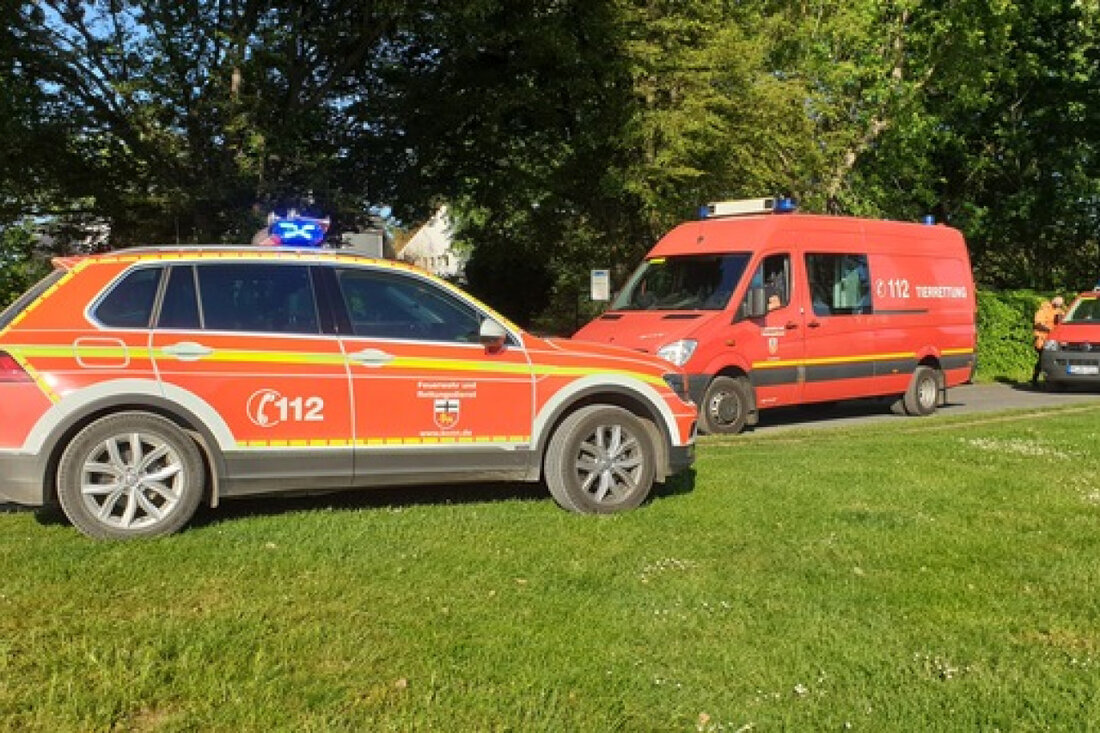 In Bonn-Oberkassel kam es zu einem Feuerwehr-Einsatz aufgrund eines manövrierunfähigen Binnenschiffs mit Rauchentwicklung.