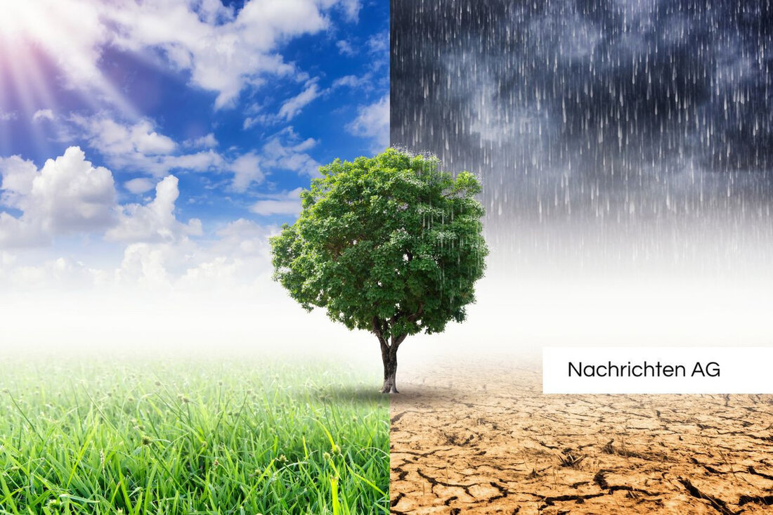 Griechenland kämpft mit Wassermangel in der Landwirtschaft: Innovative Anbaumethoden und Konflikte zwischen Tourismus und Eigenanbau.
