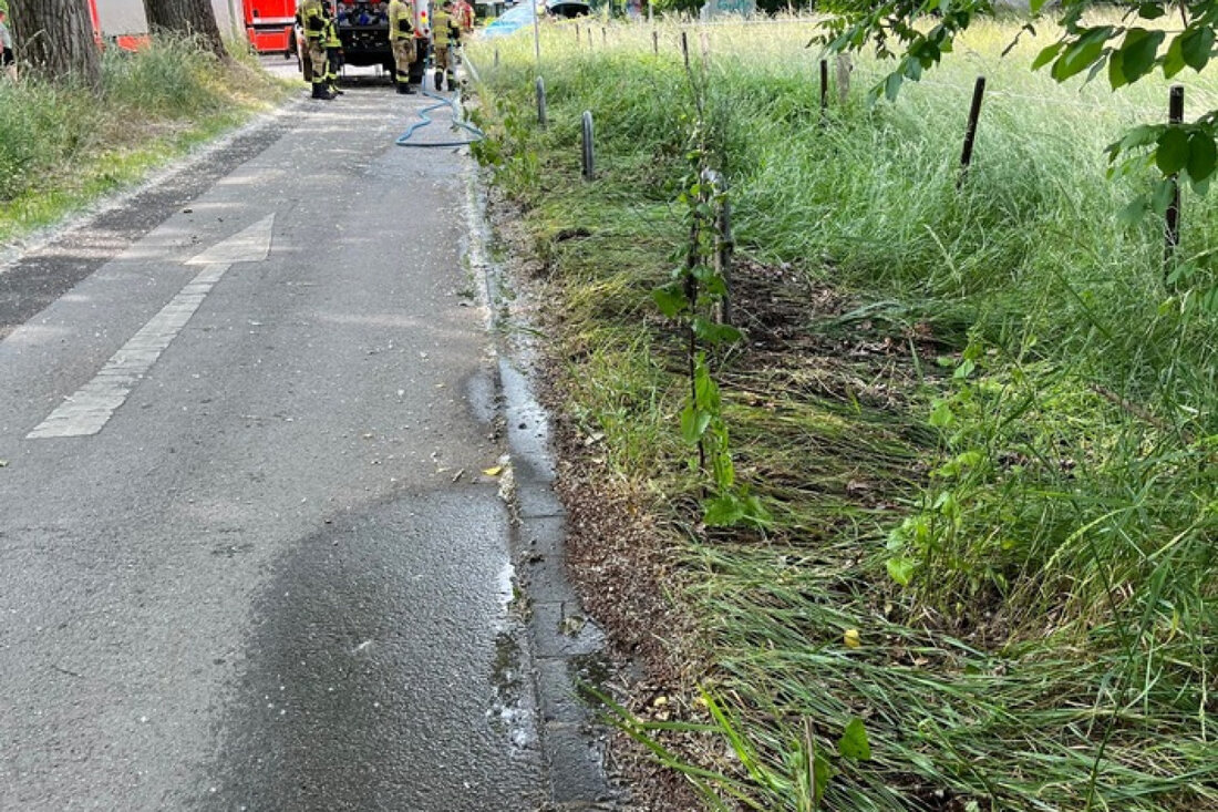 Am 31. Mai 2025 wurde ein Feldrand in Hilden in Brand gesetzt. Die Polizei Mettmann ermittelt und bittet um Hinweise.