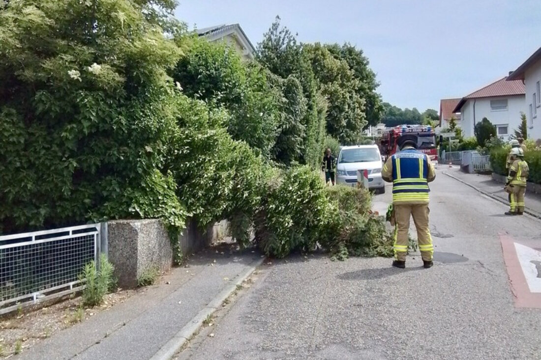 Ein Gewitter am 31. Mai führte zu zahlreichen Einsätzen der Feuerwehr Weinheim, darunter Baumfällungen und Hilfeleistungen.