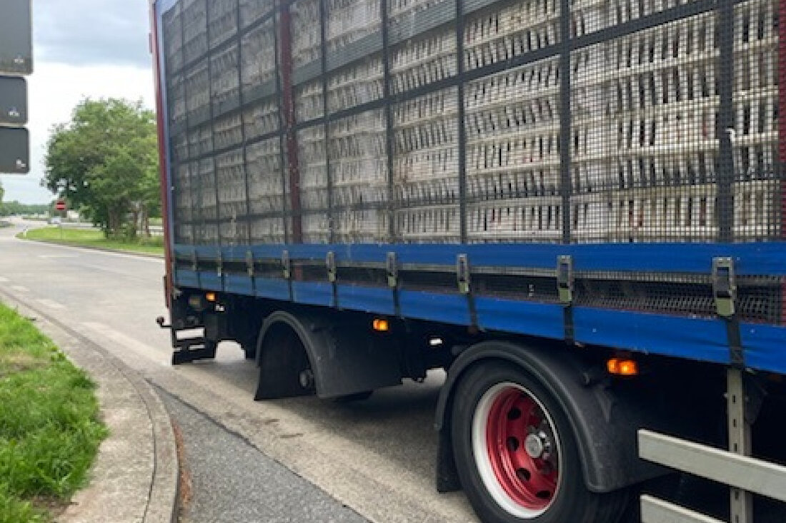 Geflügeltransport auf der BAB 27 wegen technischem Mangel stillgelegt. Fahrer umgeladen aus Tierschutzgründen. Polizei ermittelt.