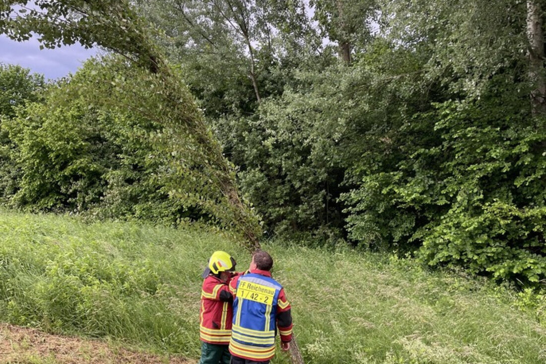 Am 04.06.2025 wurde die Freiwillige Feuerwehr Reichenau alarmiert, um einen gefährlichen Baum auf der L221 zu fällen und die Straße zu sichern.