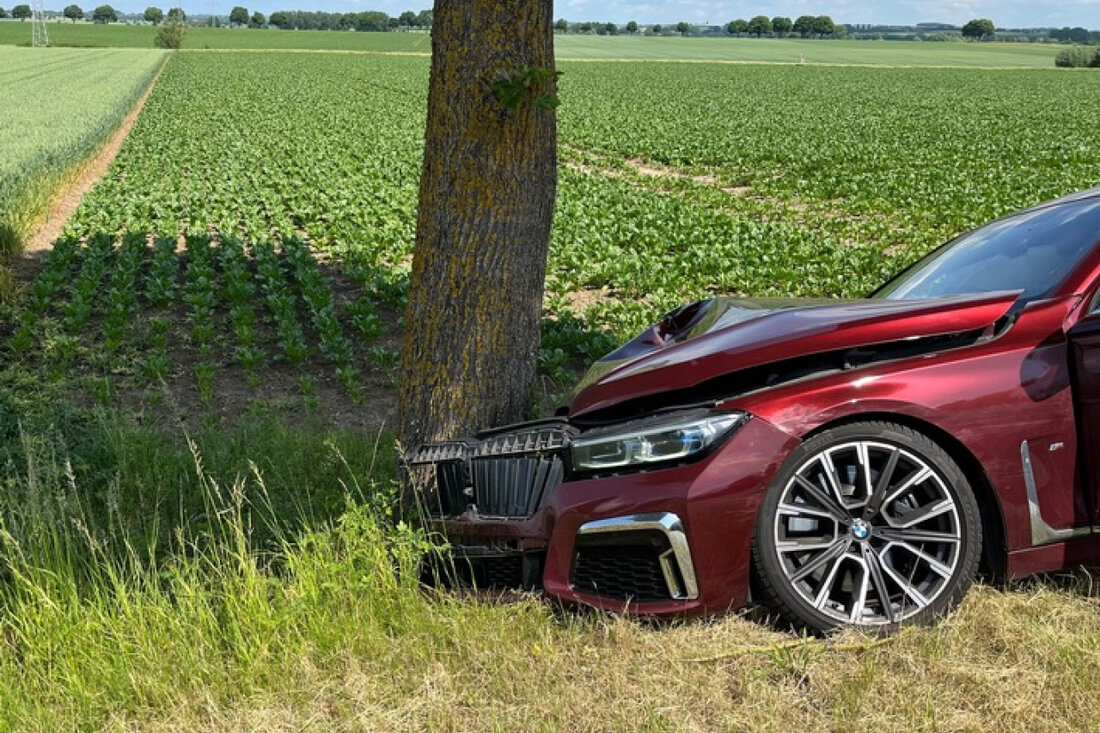 Polizei Höxter sucht Zeugen nach Unfall: 62-Jähriger kam mit BMW von B241 ab und prallte gegen Baum. Sachschaden 50.000 Euro.