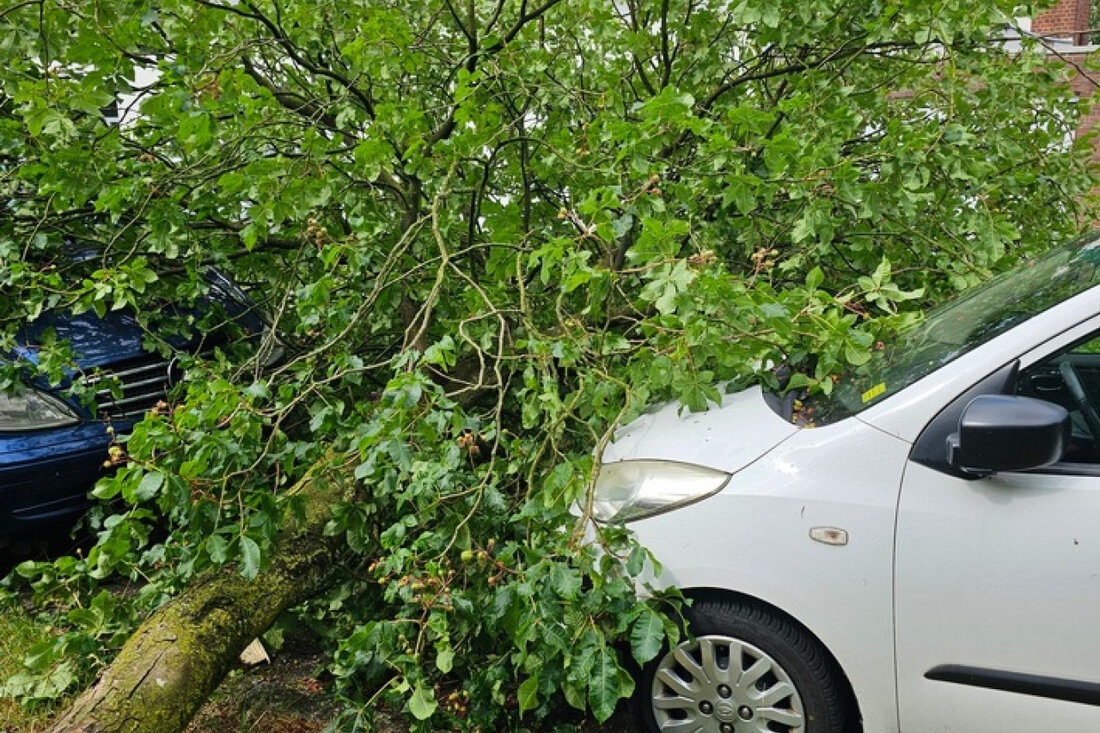 Die Feuerwehr Bocholt beseitigte am Donnerstagnachmittag nach einem Unwetter drei umgestürzte Bäume im Bocholter Norden.