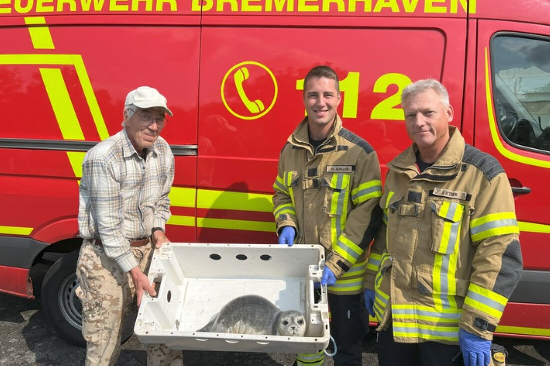 Die Feuerwehr Bremerhaven rettete einen jungen Seehund an der Deichpromenade, der in sichere Hände der Seehundstation übergeben wurde.