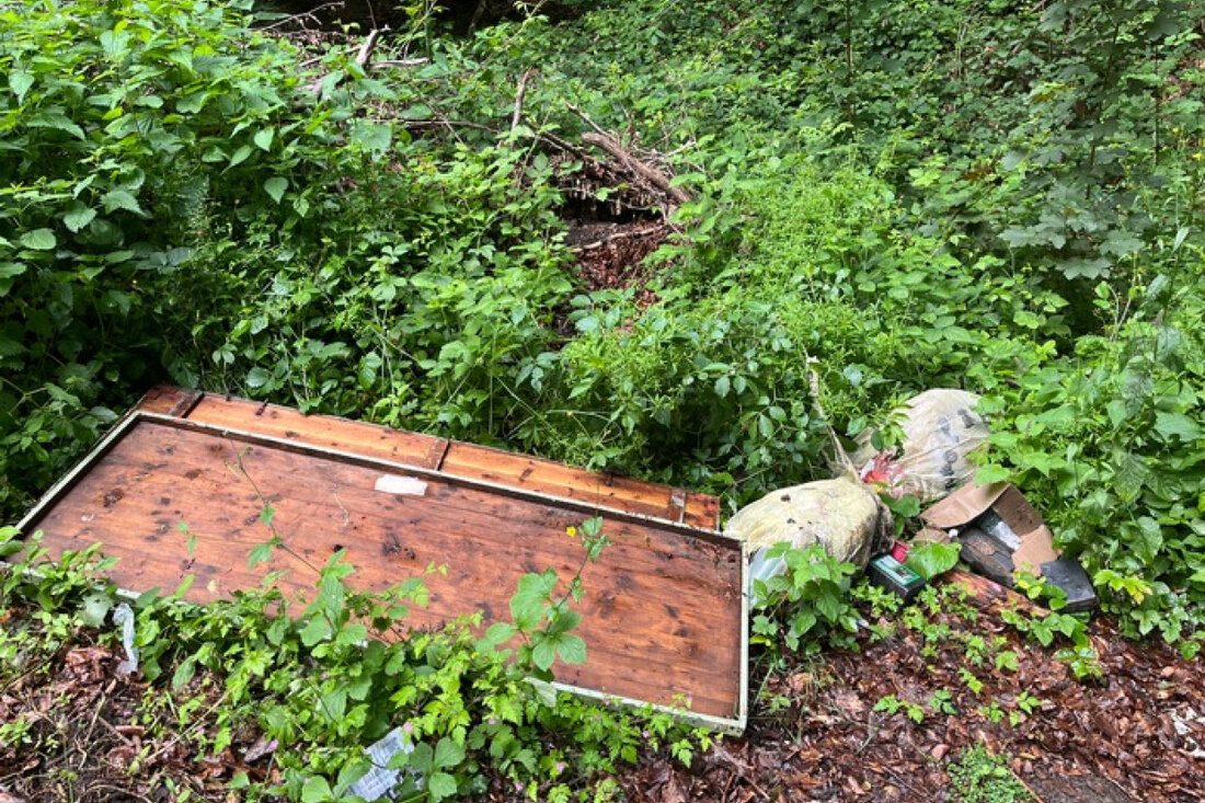 Die Polizei Hameln sucht Zeugen nach unerlaubten Müllablagerungen an der L434 zwischen Rohden und Rehren. Hinweise erbeten.