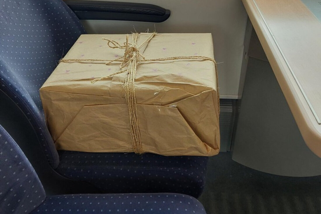 Bundespolizei am Bahnhof Altona alarmiert: Ein herrenloses Paket führte zu Sicherheitsmaßnahmen und Entwarnung nach Durchleuchtung.