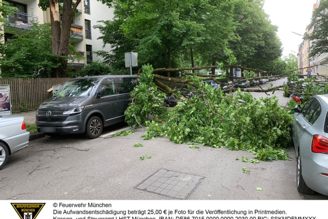 Bei einem Vorfall in Neuhausen beschädigte ein etwa 10 Meter langer herabgefallener Ast mehrere Fahrzeuge auf der Ruffinistraße.
