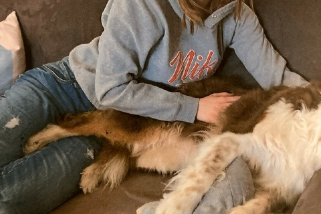 16-jährige Tabea Krämer wird seit Freitag in Modautal vermisst. Hinweise zur Sichtung bitte an die Polizei in Ober-Ramstadt.