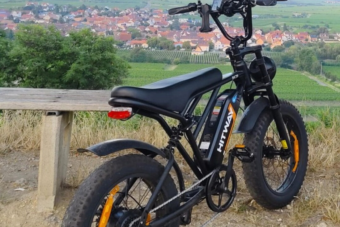 Unbekannter Täter stahl in Bad Dürkheim ein hochwertiges E-Bike. Zeugen werden gebeten, sich zu melden. Hinweise erbeten!
