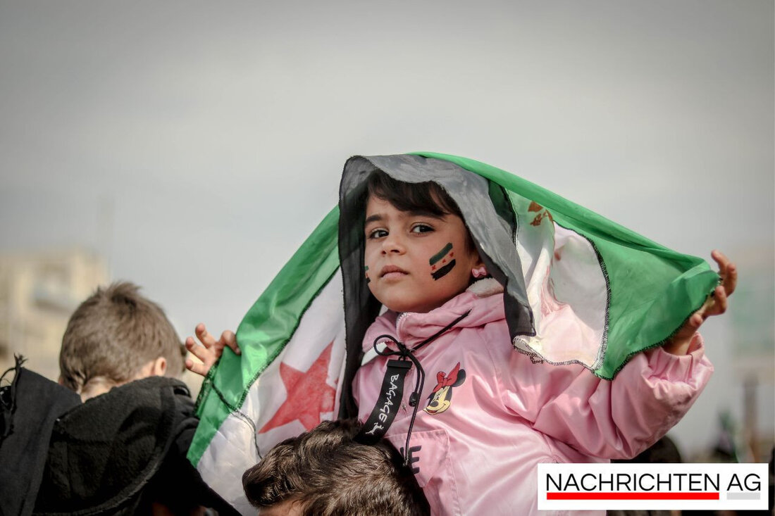 Einbürgerungen in Deutschland erreichen 2024 mit 291.955 einen Rekordhöhepunkt. Syrische Staatsangehörige sind die größte Gruppe.