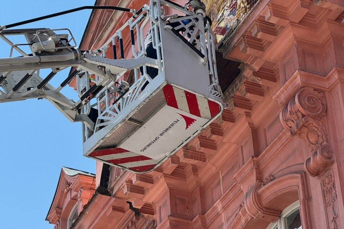 Feuerwehr Offenburg rettet Bienenschwarm und Taube in Not. Tierische Einsätze sorgten für Aufregung bei der Feuerwehr.