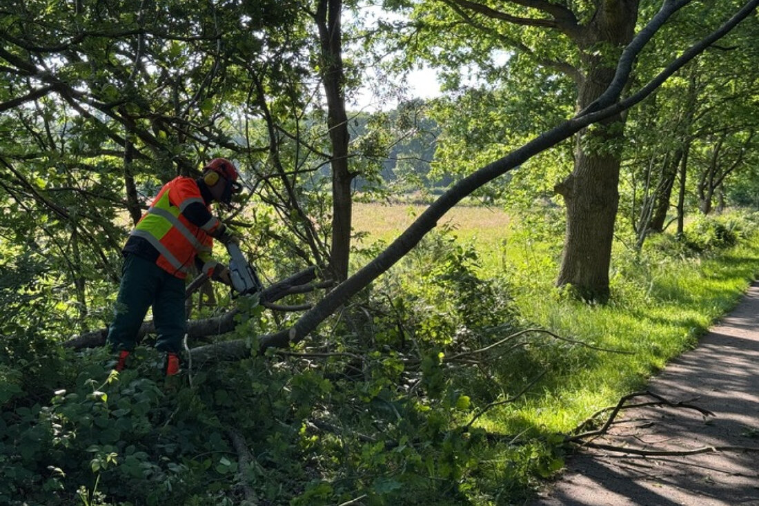 Einsatzkräfte der Feuerwehr Aurich beseitigten einen drohenden Baumsturz auf dem Radweg zwischen Neekamp und Spetzweg.
