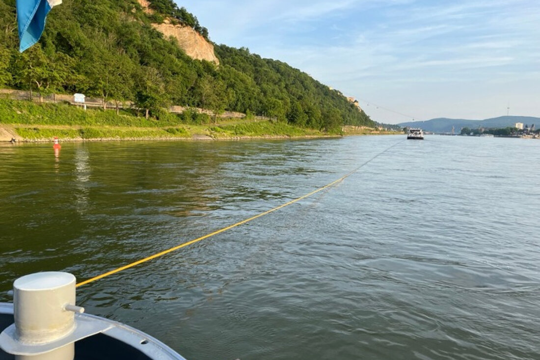 Ein Baggerschiff verangelt an der Südspitze der Rheininsel Niederwerth. Erfolgreiche Bergungsmaßnahmen durch Schubverband.
